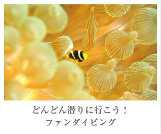 どんどん潜りに行こう!ファンダイビング
