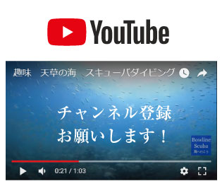 YouTubeバウラインチャンネル登録してね!